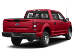 2019 Ford F-150 XL STX 5-1/2' Box
