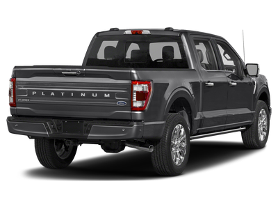 2023 Ford F-150 Platinum 5-1/2' Box