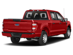 2023 Ford F-150 XL STX 5-1/2' Box