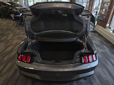 2025 Ford Mustang GT Premium Nite Pony