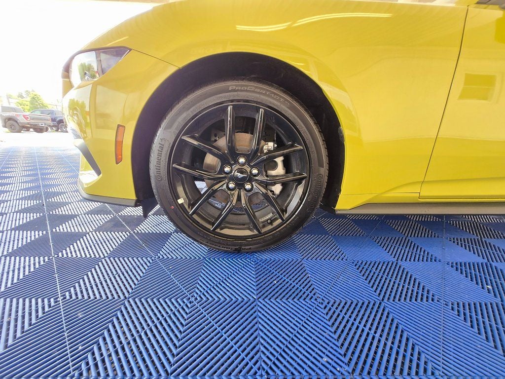 2025 Ford Mustang EcoBoost Premium Nite Pony