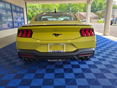 2025 Ford Mustang EcoBoost Premium Nite Pony