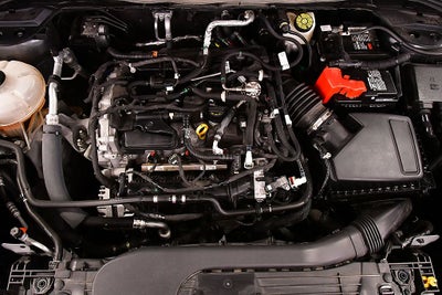 2022 Ford Escape SE Sport