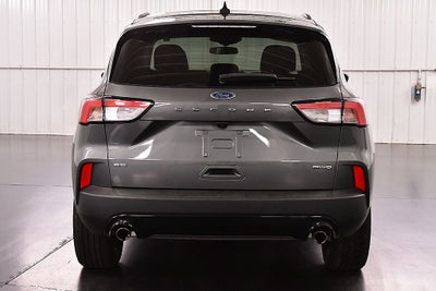 2022 Ford Escape SE Sport