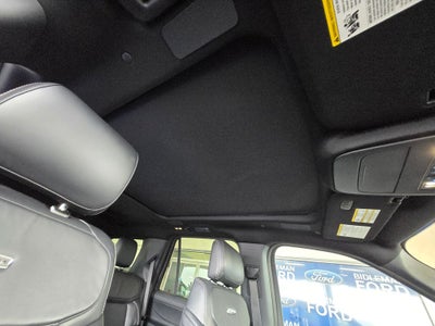 2025 Ford Expedition Platinum Stealth