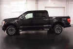 2023 Ford F-150 XLT Sport 5-1/2' Box