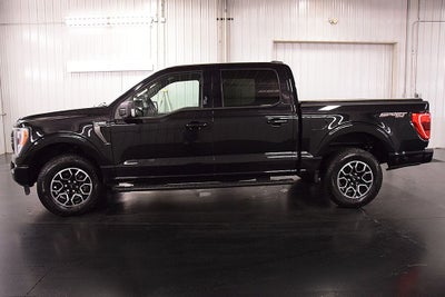 2023 Ford F-150 XLT Sport 5-1/2' Box