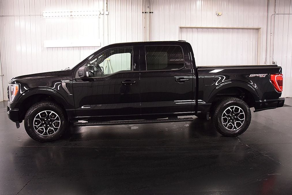 2023 Ford F-150 XLT Sport 5-1/2' Box