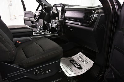 2021 Ford F-150 XLT Sport 5-1/2' Box