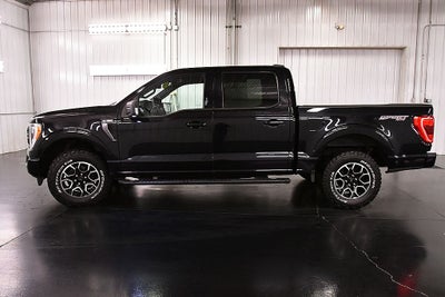 2021 Ford F-150 XLT Sport 5-1/2' Box