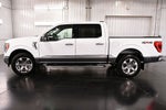 2023 Ford F-150 XLT 5-1/2' Box