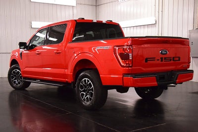 2023 Ford F-150 XLT Sport 5-1/2' Box