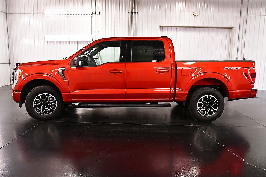 2023 Ford F-150 XLT Sport 5-1/2' Box