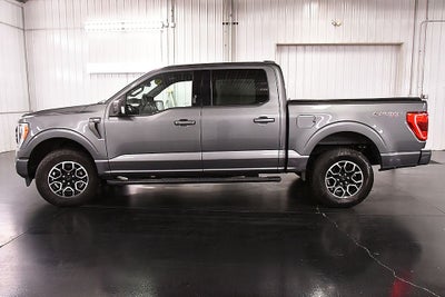 2023 Ford F-150 XLT Sport 5-1/2' Box