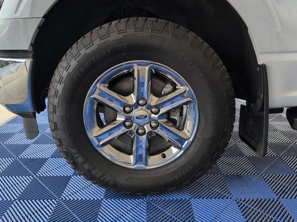2024 Ford F-150 XLT 5-1/2' Box