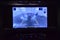 2023 Ford F-150 XL STX 6-1/2' Box
