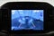 2024 Ford F-150 XL 6-1/2' Box