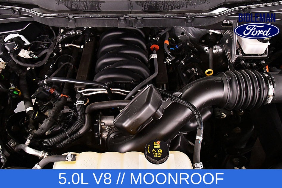 2023 Ford F-150 XLT Sport 5-1/2' Box