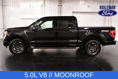 2023 Ford F-150 XLT Sport 5-1/2' Box