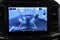 2023 Ford F-150 XLT Sport 5-1/2' Box