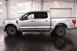 2023 Ford F-150 XLT Sport 5-1/2' Box