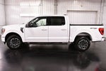 2023 Ford F-150 XLT Sport 5-1/2' Box