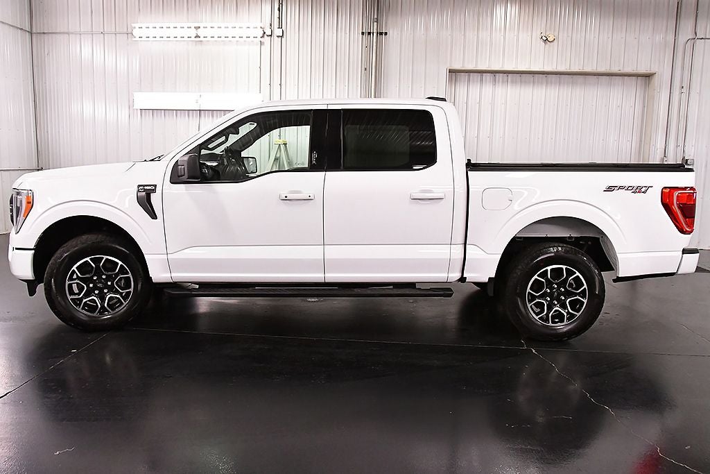 2023 Ford F-150 XLT Sport 5-1/2' Box