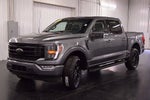 2023 Ford F-150 XLT Sport 5-1/2' Box