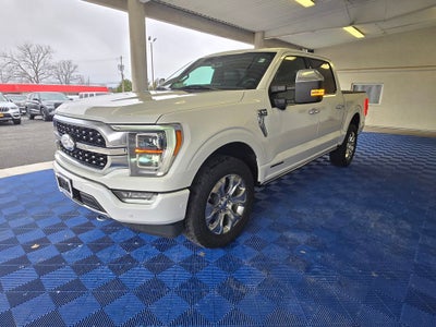 2021 Ford F-150 Platinum 5-1/2' Box