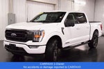 2023 Ford F-150 XLT Sport 5-1/2'Box