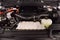2023 Ford F-150 XLT Sport 5-1/2'Box