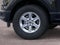 2026 Ford F-150 XLT 5-1/2' Box