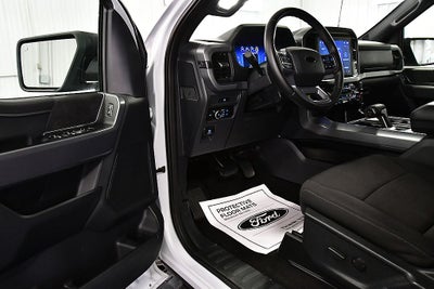 2025 Ford F-150 XLT 5-1/2' Box