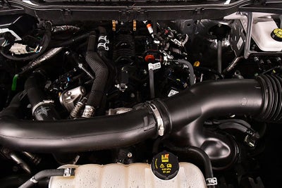 2025 Ford F-150 XLT 5-1/2' Box