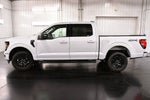 2025 Ford F-150 XLT 5-1/2' Box