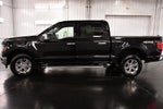 2024 Ford F-150 XLT 5-1/2' Box