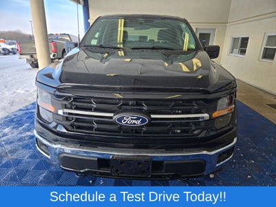 2025 Ford F-150 XLT 5-1/2' Box