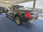 2024 Ford F-150 XLT 5-1/2' Box