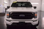 2023 Ford F-150 XLT Sport 5-1/2' Box