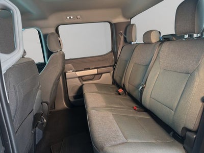 2025 Ford F-150 XLT 5-1/2' Box