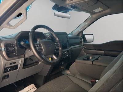2025 Ford F-150 XLT 5-1/2' Box