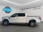 2025 Ford F-150 XLT 5-1/2' Box