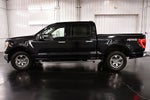 2022 Ford F-150 XLT 5-1/2' Box