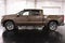 2023 Chevrolet Silverado 1500 LT All Star Edition
