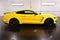 2016 Ford Mustang Shelby GT350