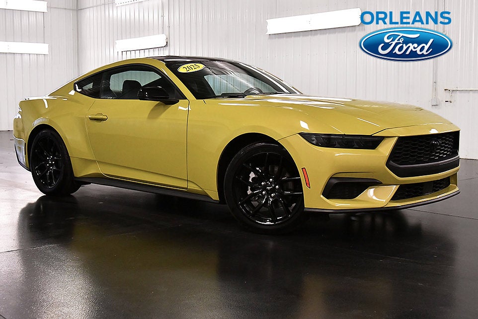 2025 Ford Mustang EcoBoost Premium Nite Pony