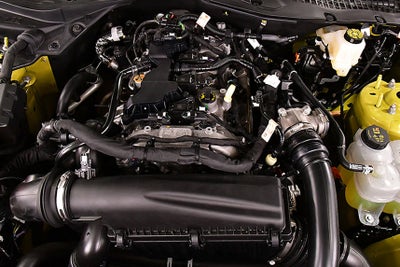 2025 Ford Mustang EcoBoost Premium Nite Pony