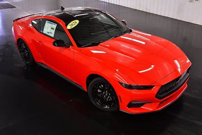 2026 Ford Mustang EcoBoost Nite Pony