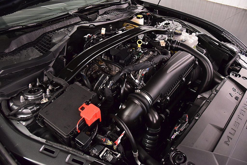 2026 Ford Mustang EcoBoost Premium Nite Pony