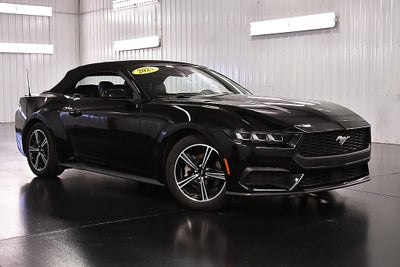 2025 Ford Mustang EcoBoost Premium